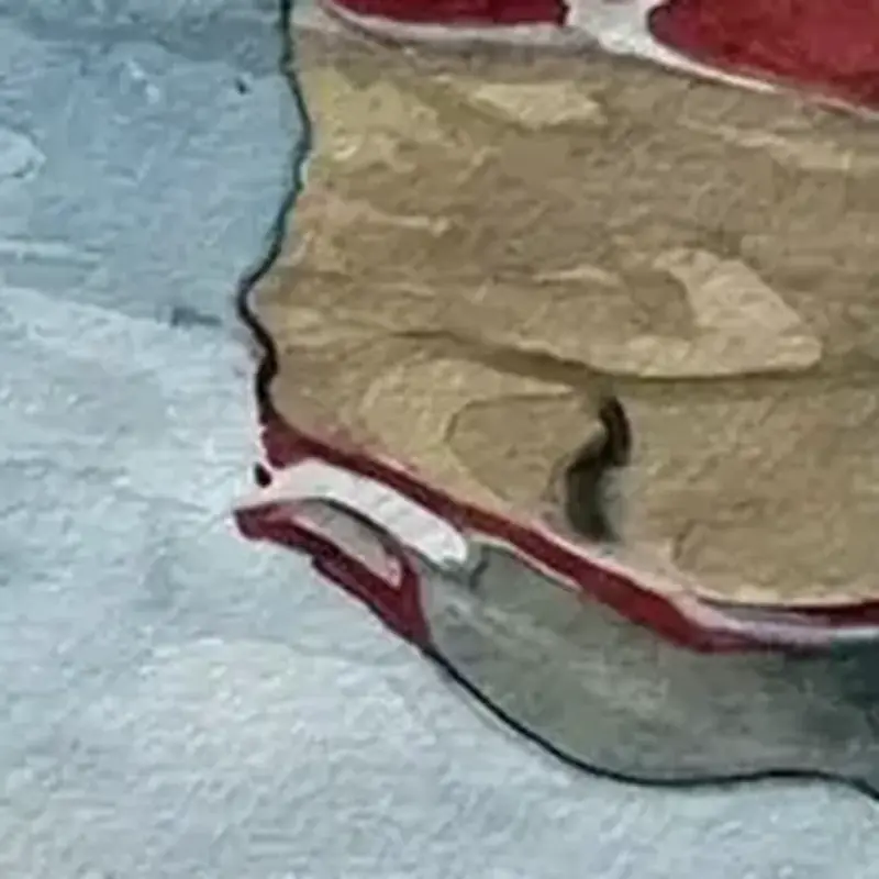 Détail 3, À la surface