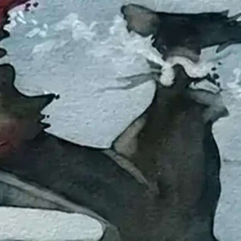 Détail 4, À la surface