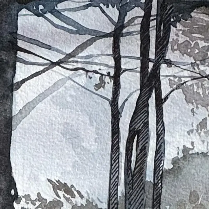 Détail 1, Après la pluie