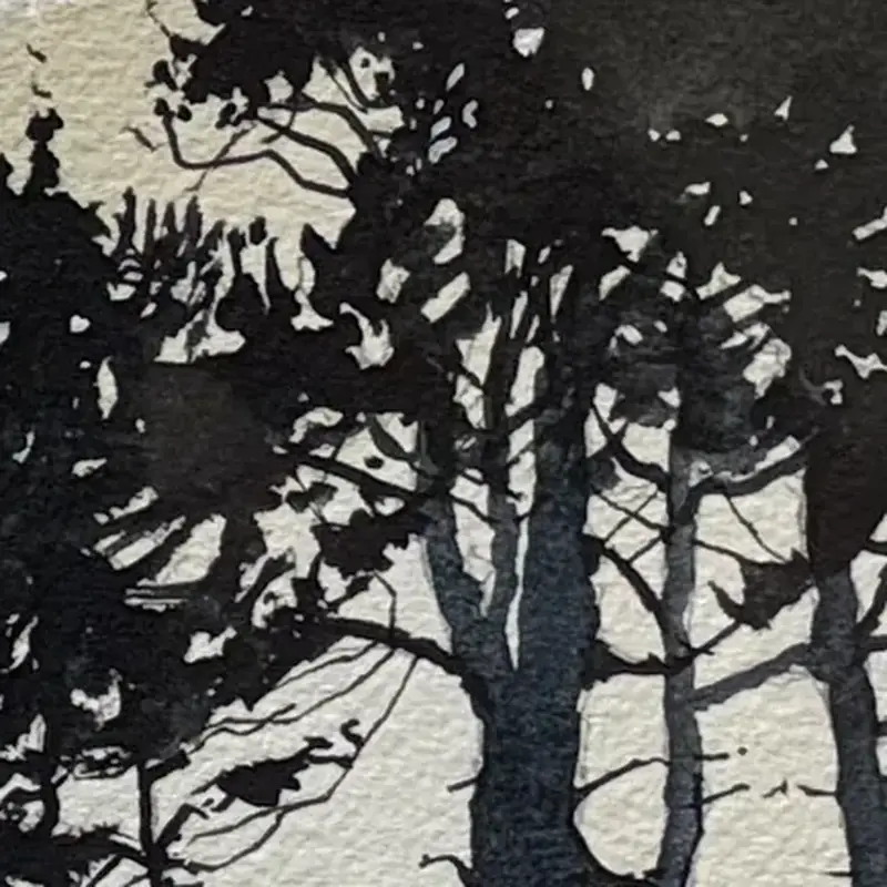 Détail 1, Crépuscule