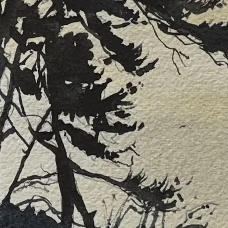Détail 4, Crépuscule