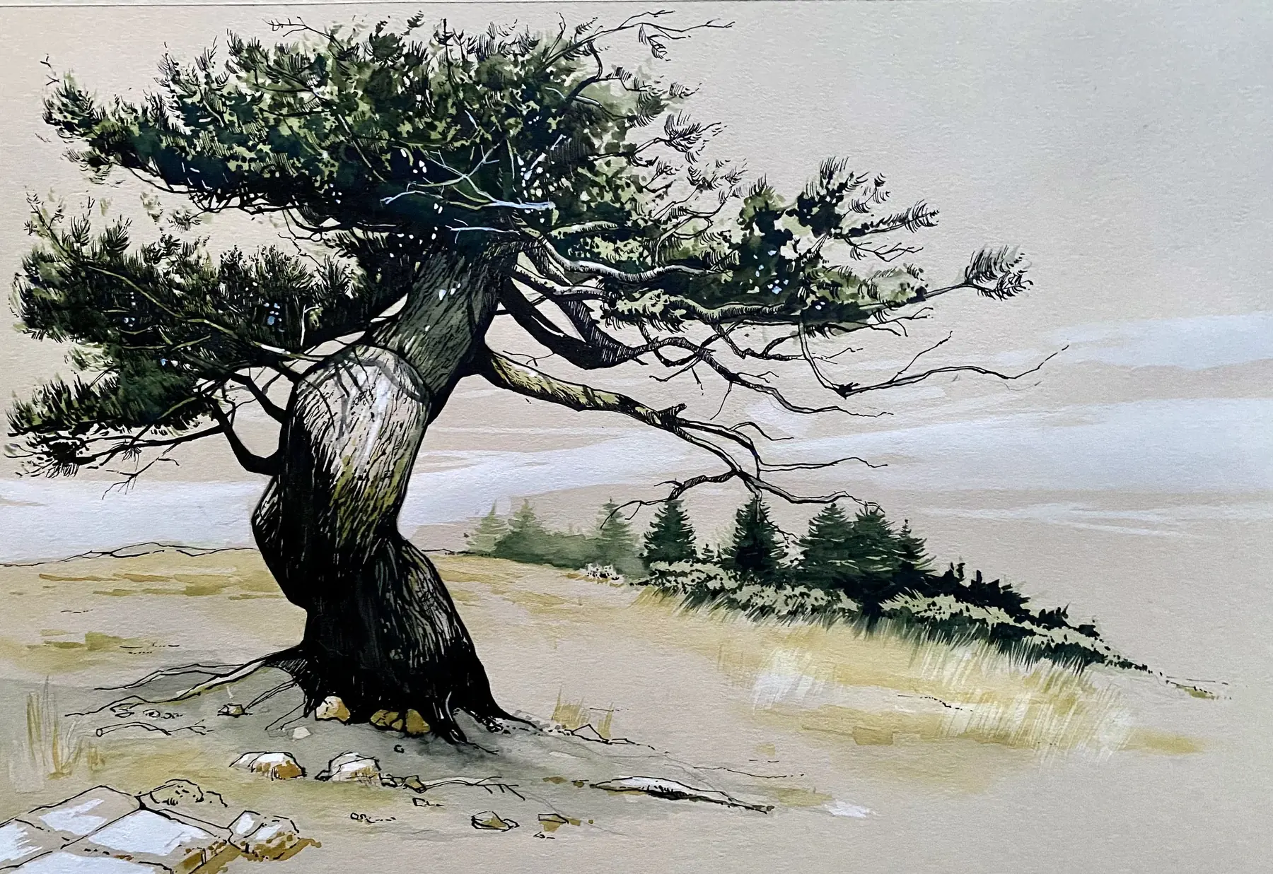 L'ancien, aquarelle de Pierre Renollet