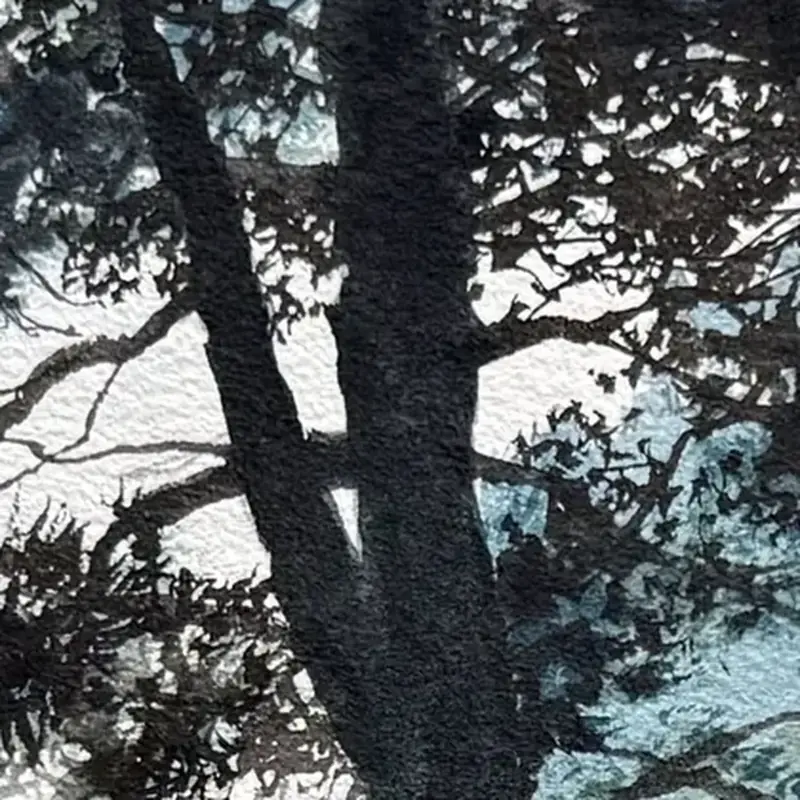 Détail 2, L'arrêt