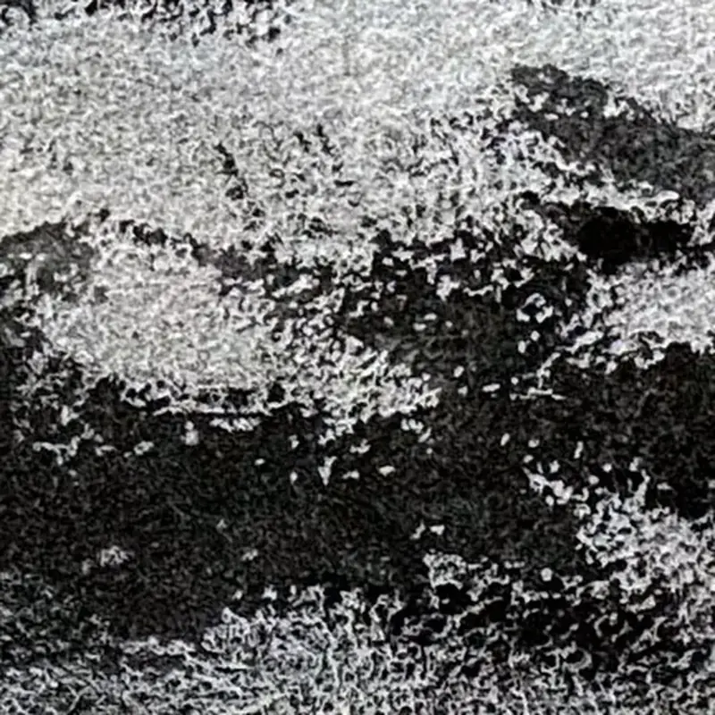 Détail 4, Le chêne