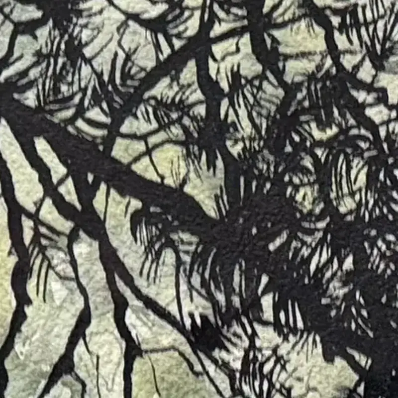 Détail 1, Les fougères