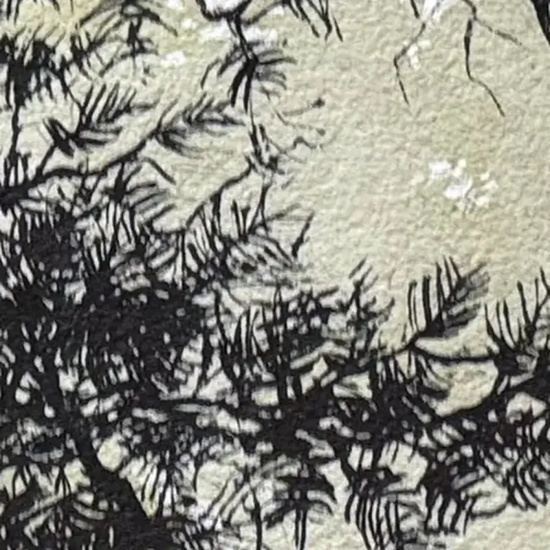 Détail 2, Les fougères