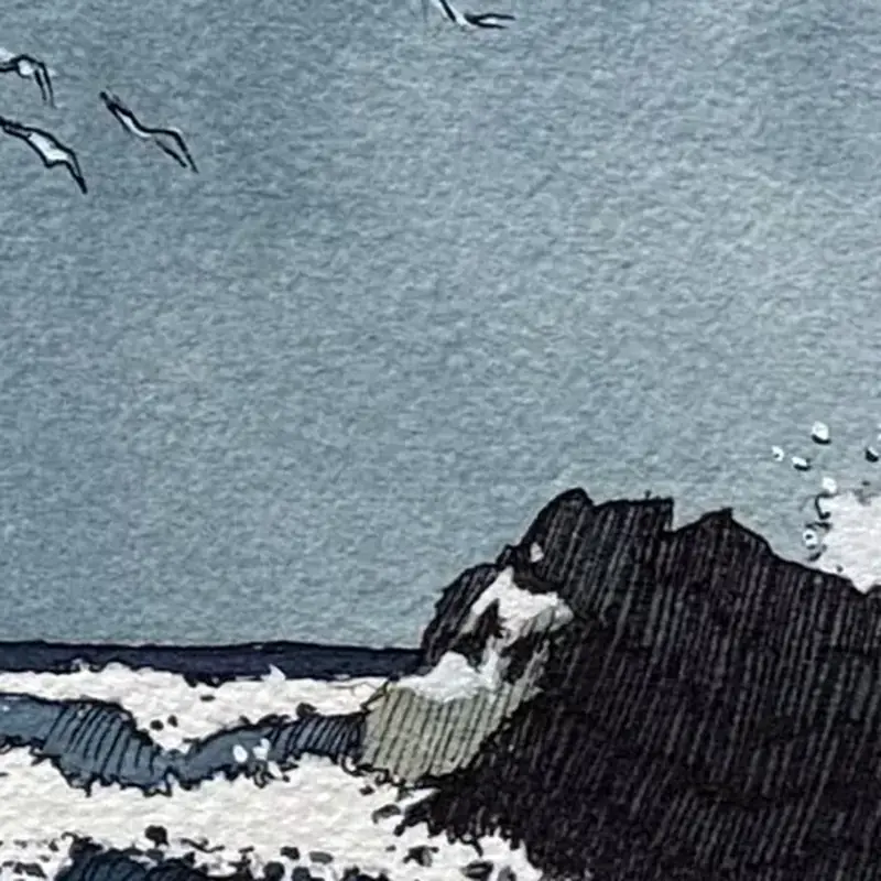 Détail 1, Marée basse