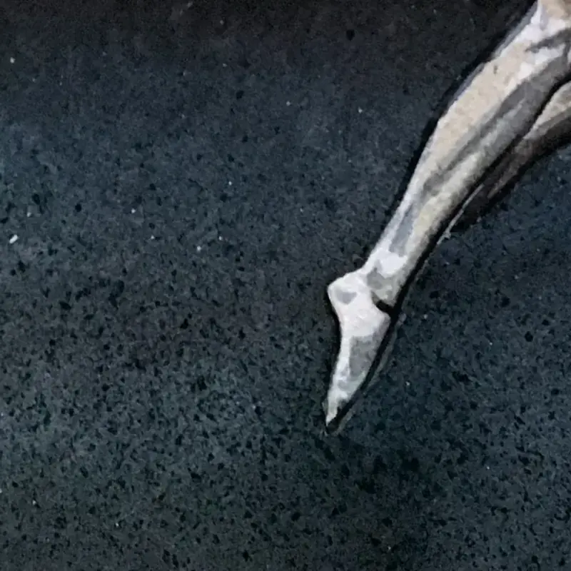 Détail 3, Silence